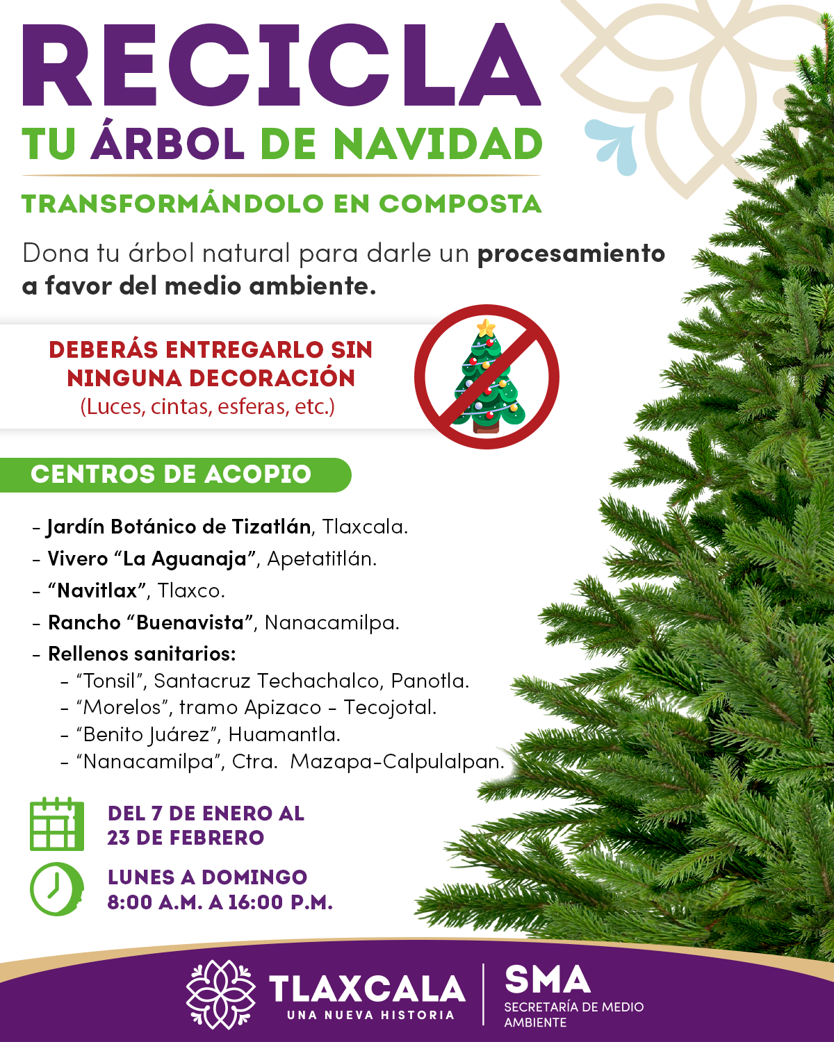 Recicla Tu Rbol De Navidad Linea De Contraste